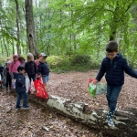 Kleuters naar het bos!